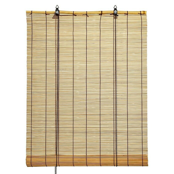 Estor enrollable de bambú (An x Al: 60 x 180 cm, Roble, Unicolor) | BAUHAUS