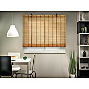 Estor enrollable de bambú (An x Al: 60 x 180 cm, Roble, Unicolor) | BAUHAUS