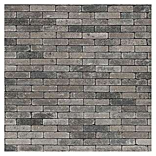 Straatsteen Tumbelton Gothic (Beton, 20 x 5 x 7,3 cm, Grijs Zwart)
