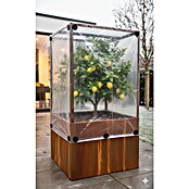 Palatino Hochbeet Home of Tomatoes (100 x 100 x 183 cm, Cortenstahl, Rostbraun) | BAUHAUS