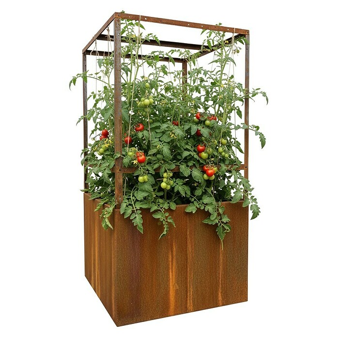 Palatino Hochbeet Home of Tomatoes (100 x 100 x 183 cm, Cortenstahl, Rostbraun) | BAUHAUS