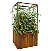 Palatino Hochbeet Home of Tomatoes (100 x 100 x 183 cm, Cortenstahl, Rostbraun) | BAUHAUS