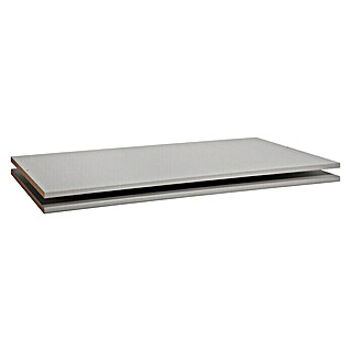 Express Möbel Einlegeboden (L x B x H: 55,5 x 100 x 1,8 cm, Passend für: Express Möbel Kleiderschränke)