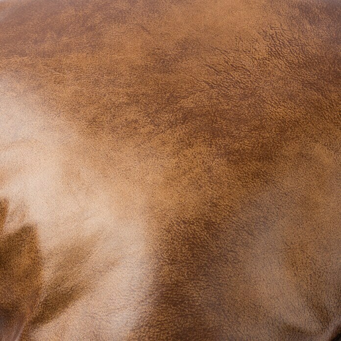 Cojín Bristol (Marrón oscuro, 43 x 43 cm, 100% poliéster)