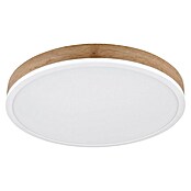 Globo LED okrogla stropna svetilka  (24 W, Ø x V: 450 x 85 mm, Barva svetlobe: Toplo bela) | 3016 - Deckenleuchte | CACB - Deckenleuchten | CAC - Indoorleuchten | CA - Beleuchtung | C - Elektro | BAUHAUS