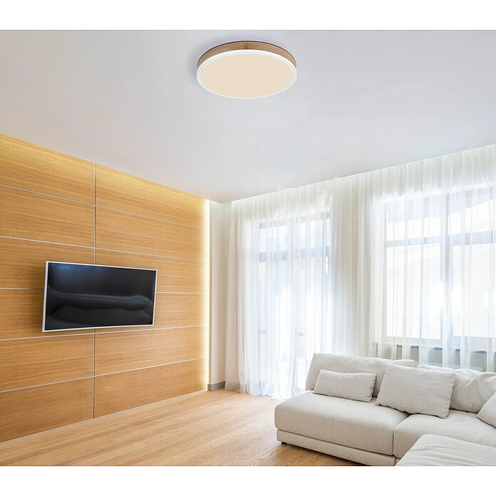 Globo LED okrogla stropna svetilka  (24 W, Ø x V: 450 x 85 mm, Barva svetlobe: Toplo bela) | 3016 - Deckenleuchte | CACB - Deckenleuchten | CAC - Indoorleuchten | CA - Beleuchtung | C - Elektro | BAUHAUS