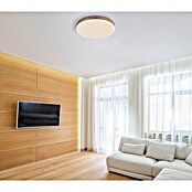 Globo LED okrogla stropna svetilka  (24 W, Ø x V: 450 x 85 mm, Barva svetlobe: Toplo bela) | 3016 - Deckenleuchte | CACB - Deckenleuchten | CAC - Indoorleuchten | CA - Beleuchtung | C - Elektro | BAUHAUS