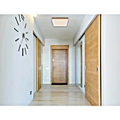 Globo LED stropna svjetiljka Doro  (12 W, D x Š x V: 300 x 300 x 60 mm, Boja svjetla: Topla bijela) | BAUHAUS