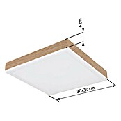 Globo LED stropna svjetiljka Doro  (12 W, D x Š x V: 300 x 300 x 60 mm, Boja svjetla: Topla bijela) | BAUHAUS