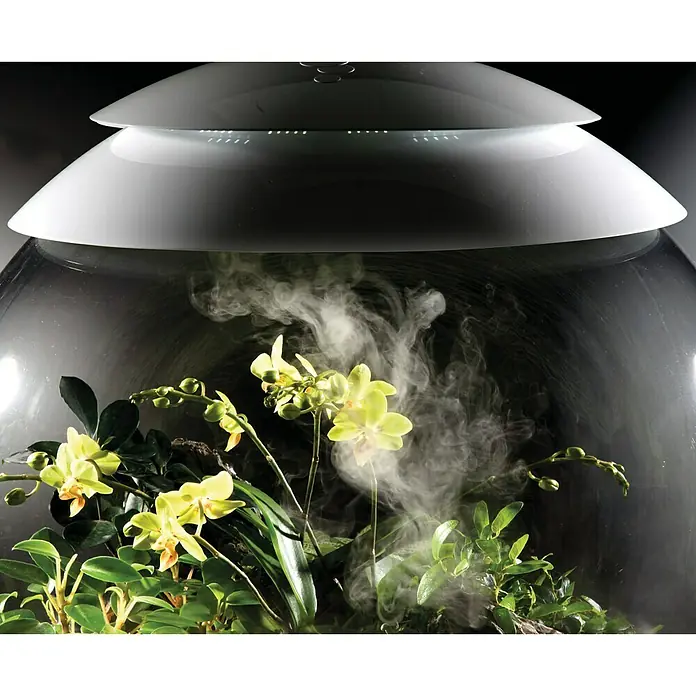 biOrb Terrarium AIR - Ø x H: 51,2 x 57,8 cm, 60 l, Weiß, Kunststoff - Eine Nahaufnahme eines Orchideengewächshauses mit einem weißen Deckel und gelben Orchideen, die von Feuchtigkeit umgeben sind.