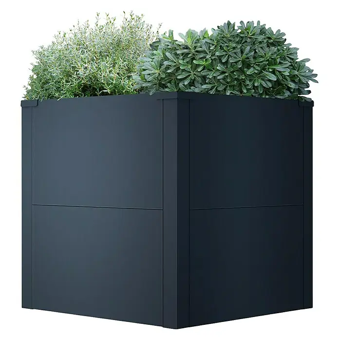 Metzler Hochbeet - 50 x 50 x 50 cm, Stahl, Anthrazit - Dunkelgrauer Pflanzkübel mit grünen Pflanzen.