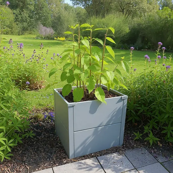 Metzler Hochbeet - 50 x 50 x 50 cm, Stahl, Grau - Graues quadratisches Pflanzgefäß mit einer leuchtend grünen Pflanze, im Garten platziert.
