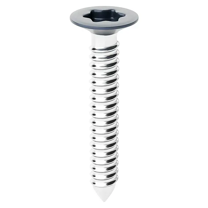 Schrauben-Set - Anthrazit, 50 Stk. - Silberschraube aus Metall mit Senkkopf, sternförmigem Antrieb und konischer Spitze.