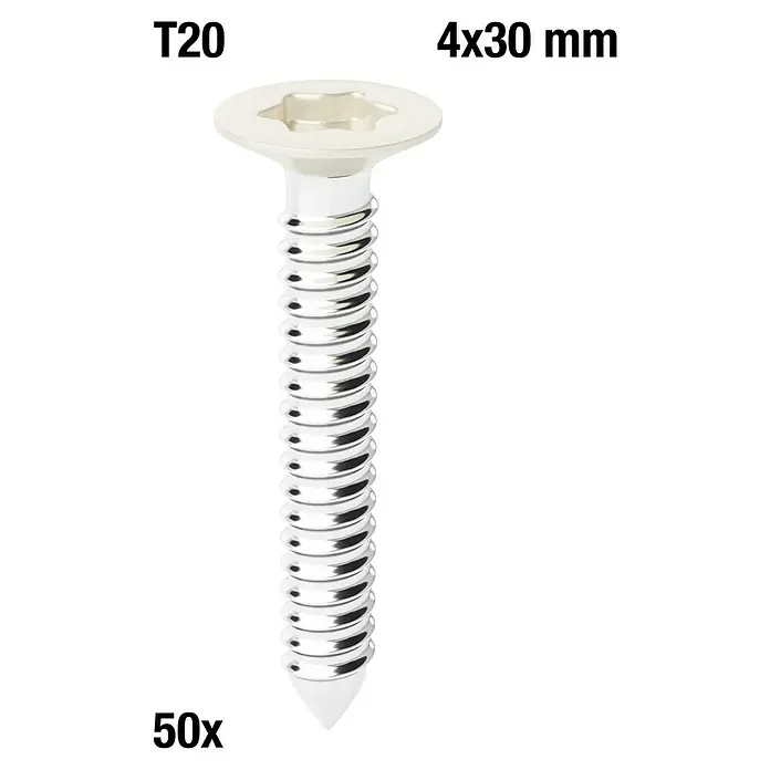 Schrauben-Set - Sand, 50 Stk. - Silberne Metallschraube mit T20-Sternantrieb, 4x30 mm.