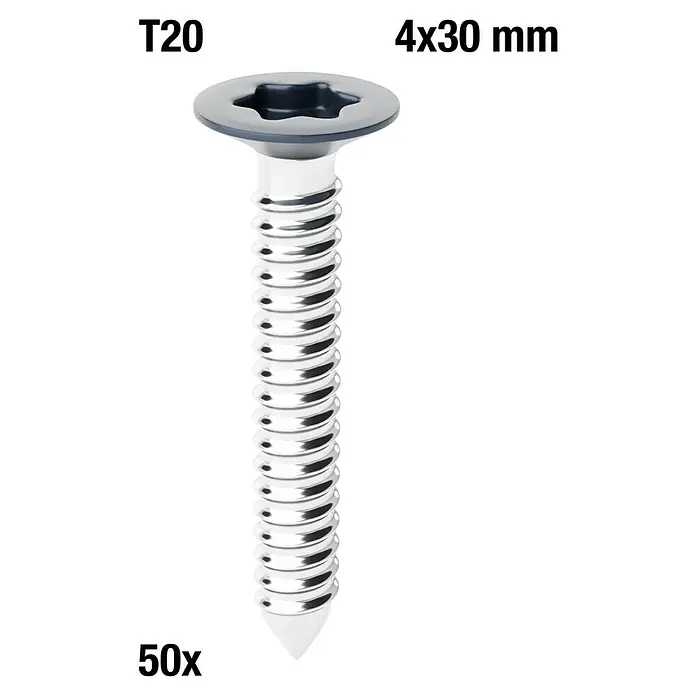 Schrauben-Set - Anthrazit, 50 Stk. - Silberne 4x30 mm Schraube mit T20 Sternantrieb.