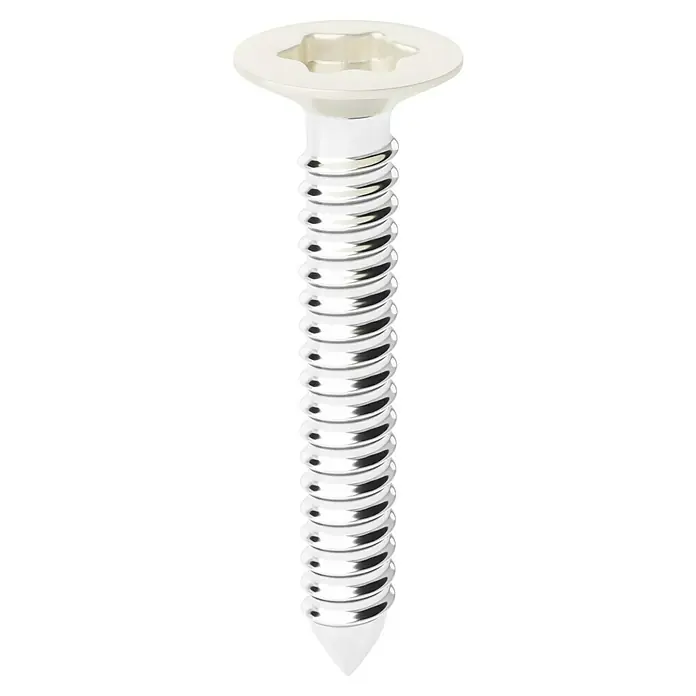 Schrauben-Set - Sand, 50 Stk. - Silberne Metallschraube mit Flachkopf, Sechssternantrieb und spitzer Spitze.