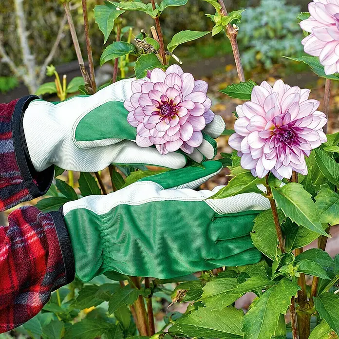 Gardol Gartenhandschuhe Pflege - 10, Grün - Gartenhandschuhe schützen die Hände bei der Gartenarbeit und beim Blumenernten vor Schmutz und Dornen.