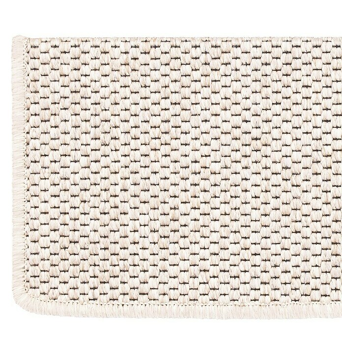 Stufenmatte Kalkutta (65 x 23,5 cm, Creme, Rechteck) | BAUHAUS