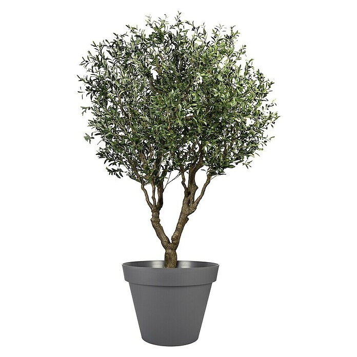 blumenkasten xxl XXL Pflanzkasten 