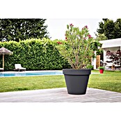 Pflanztopf Toscana (Auenma ( x H): 79 x 66 cm, Kunststoff, Anthrazit) |  BAUHAUS