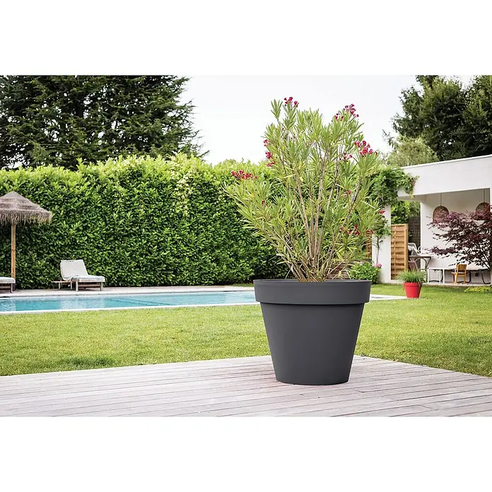 Pflanztopf Toscana - Außenmaß (Ø x H): 79 x 66 cm, Kunststoff, Anthrazit - Großer, dunkelgrauer Pflanzkübel mit blühender Pflanze auf einer Holzterrasse im Garten.