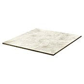 Feinsteinzeugfliese Dimension (79,7 x 79,7 cm, Beige, Matt) | BAUHAUS
