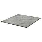 Feinsteinzeugfliese Dimension (79,7 x 79,7 cm, Graphit, Matt) | BAUHAUS
