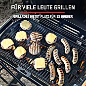 Weber Gasgrill Traveler (Grillfläche (B x T): 63 x 34 cm, 3,8 kW, Anzahl Brenner: 1 Stk.) | BAUHAUS