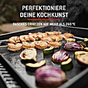 Weber Plancha-Grill Slate GP 43 (Grillfläche (B x T): 43 x 41 cm, 3,7 kW, Schwarz) | BAUHAUS