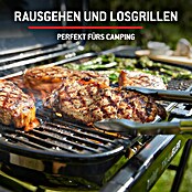 Weber Gasgrill Traveler (Grillfläche (B x T): 63 x 34 cm, 3,8 kW, Anzahl Brenner: 1 Stk.) | BAUHAUS