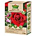 Florissa Langzeitdünger Rosen- und Blühpflanzen 