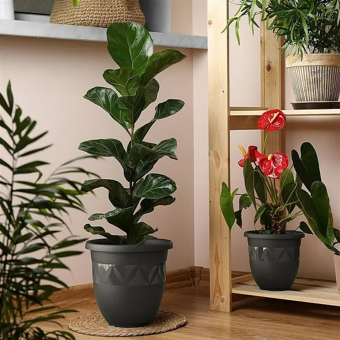 Plastard Pflanztopf Capri 5er Set - 5 Stk., Kunststoff, Anthrazit