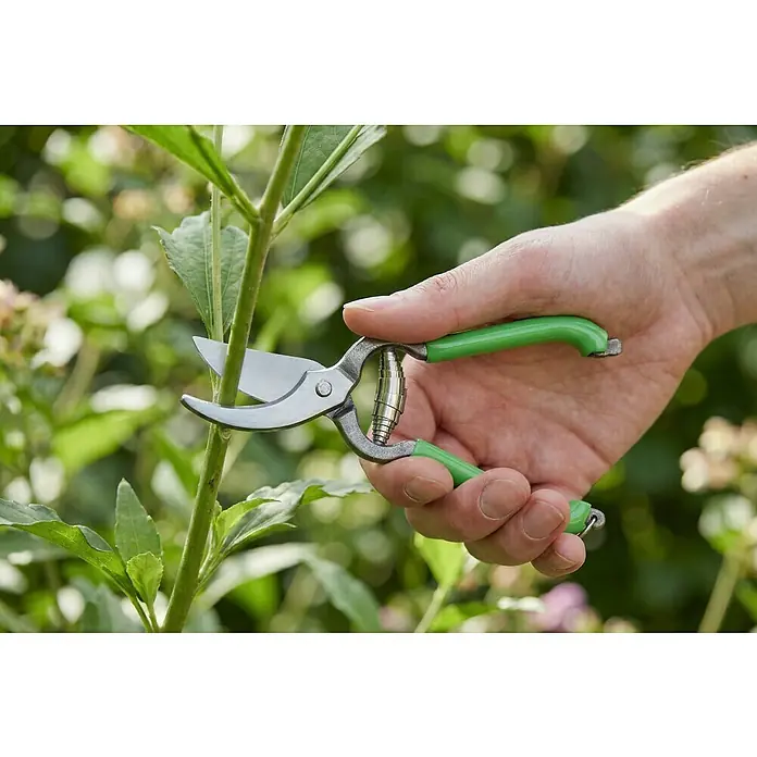 Gartenschere - Bypass - Person schneidet mit einer Gartenschere mit grünen Griffen einen grünen Pflanzenstiel ab.