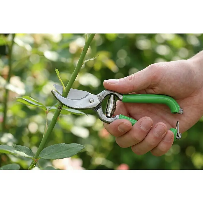 Gartenschere - Bypass - Eine Hand hält silberne und grüne Gartenschere, die einen grünen Pflanzenstiel schneidet.