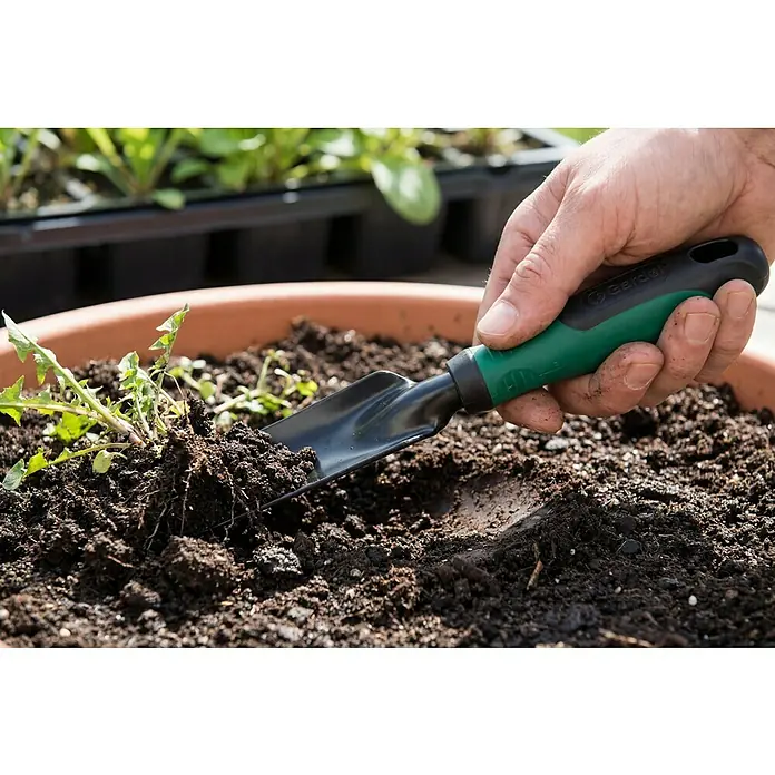 Gardol Hand-Unkrautstecher - Arbeitsbreite: 30 mm, Kurzstiel - Hand benutzt eine grün-schwarze Gartenschaufel, um eine Pflanze aus einem Terrakottatopf auszugraben.