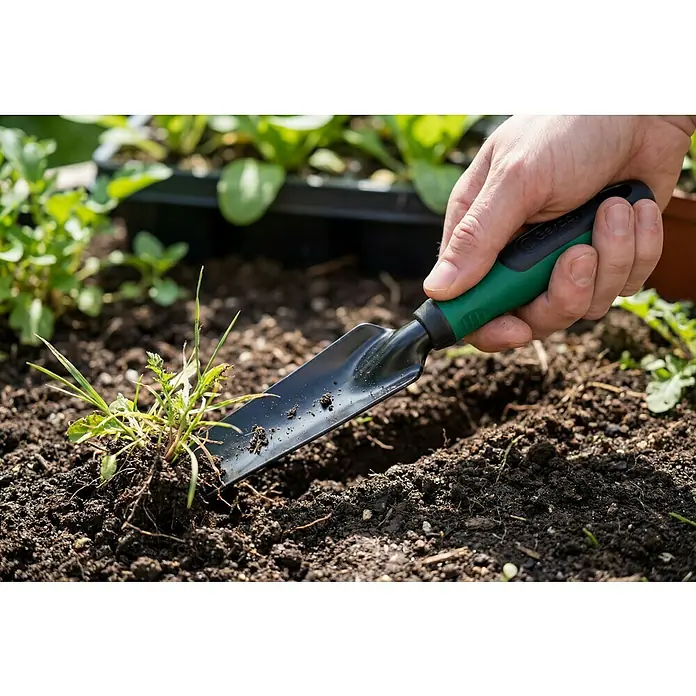 Gardol Hand-Unkrautstecher - Arbeitsbreite: 30 mm, Kurzstiel - Eine Hand verwendet eine schwarz-grüne Gartenschaufel, um Erde neben einer kleinen Pflanze zu graben.