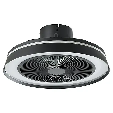 Eglo  Ventilador de techo Vallonia 1