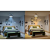 Philips Ventilador de techo Tynl (Blanco, 35 W, Blanco cálido) | BAUHAUS