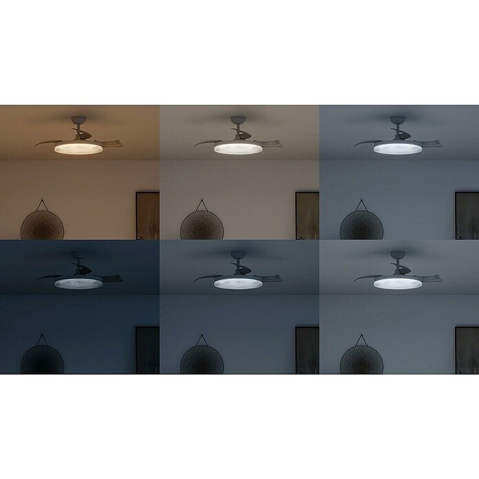 Philips Ventilador de techo Tynl (Blanco, 35 W, Blanco cálido) | BAUHAUS