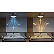 Philips Ventilador de techo Bliss (Marrón, Diámetro: 106 cm, Tamaño de la estancia: 15 m²) | BAUHAUS