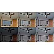 Philips Ventilador de techo Velyx (32 W, Negro/Madera, 132 cm, Flujo luminoso: 3.200 lm, Tamaño de la estancia: 25 m²) | BAUHAUS
