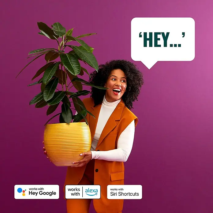 Philips Wiz Smart-LED-Lampe matter - E27, Dimmbar, RGBW, 806 lm, 8,5 W, 2 Stk. - Eine Frau hält eine Pflanze in einem gelben gerippten Topf, mit „HEY…“ und Logos für Google Assistant, Alexa und Siri Shortcuts.