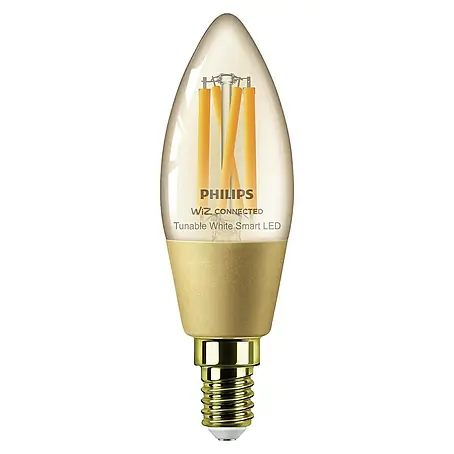 Philips Wiz Smart-LED-Lampe