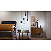 WiZ Pametna LED sijalka v stilu klasične žarnice  (E27, Možnost zatemnitve, Toplo bela, 806 lm, 7 W, 1 kos) | LED luči | Svetlila | Elektro in svetila | Izdelki | BAUHAUS