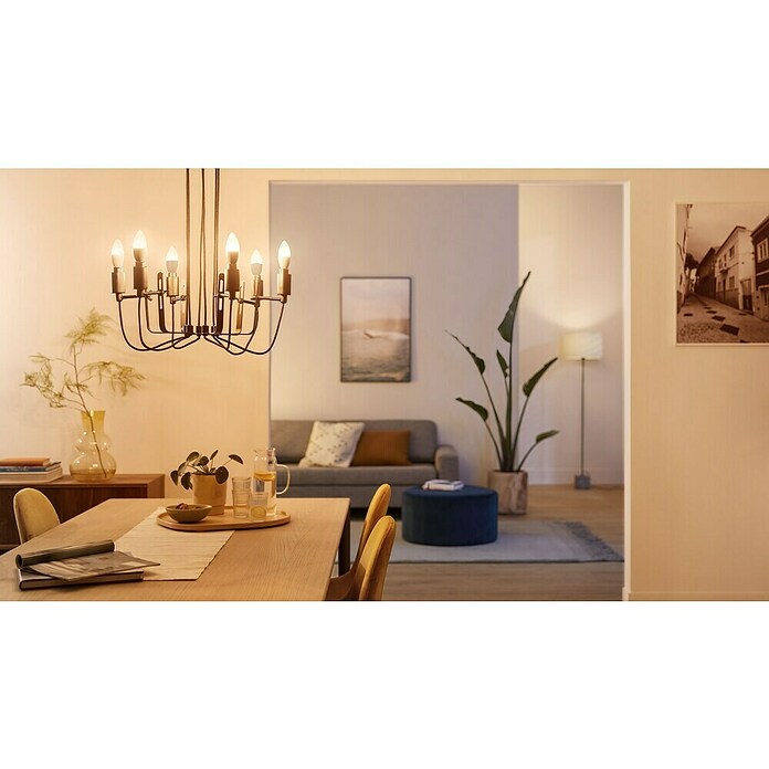 WiZ Pametna LED sijalka  (E14, Možnost zatemnitve, Toplo bela, 470 lm, 4,9 W, 1 kos) | LED luči | Svetlila | Elektro in svetila | Izdelki | BAUHAUS