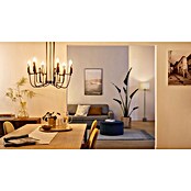 WiZ Pametna LED sijalka  (E14, Možnost zatemnitve, Toplo bela, 470 lm, 4,9 W, 1 kos) | LED luči | Svetlila | Elektro in svetila | Izdelki | BAUHAUS