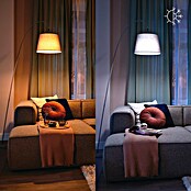 Philips Wiz Bombilla LED inteligente Globo (E27, Capacidad de atenuación: Intensidad regulable, Blanco neutro, 1.055 lm, 11 W) | BAUHAUS