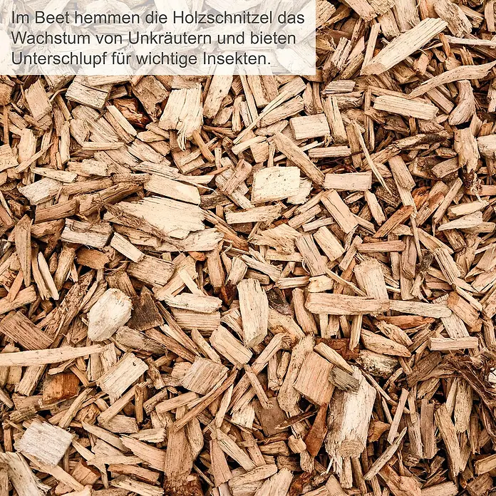 Scheppach Elektro-Leisehäcksler GS70 - Max. Aststärke: 42 mm, 2.800 W - Helle Holzspäne in einem Beet, unterdrücken Unkraut und bieten Insekten Unterschlupf.