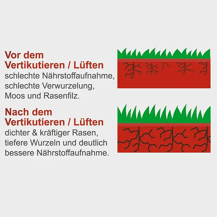 Scheppach Elektro-Vertikutierer-Lüfter SC 38 - 1.600 W, Arbeitsbreite: 38 cm - Diagramm: Vor dem Vertikutieren sind Rasenwurzeln flach und spärlich, danach tiefer und dichter, was zu besserem Wachstum führt.