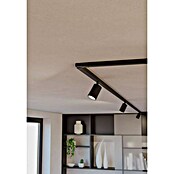 Eglo Eckverbinder EASYT (187 x 30 x 18 mm, Schwarz) | BAUHAUS